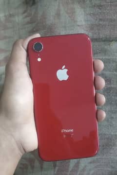 iphone Xr All okay