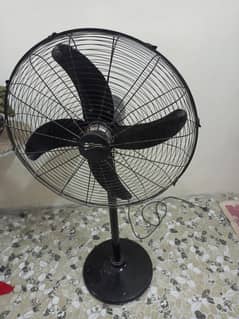 Pedestal Fan