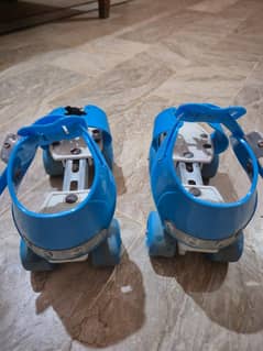 Skates