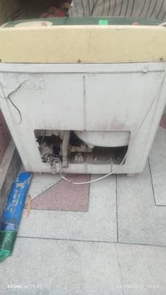 dawlance washing machine body damage for sale