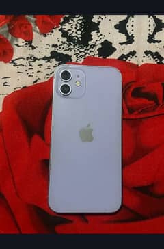 iPhone 12 jv non pta all okay just one dot