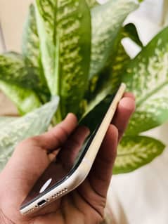 IPHONE 7 PTA APPROVED