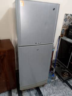 PEL