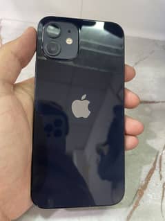 Iphone 12 128GB PTA Approved