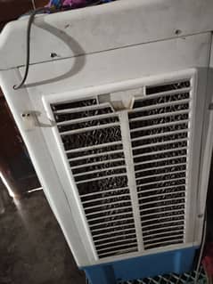 Asia ka cooler hai