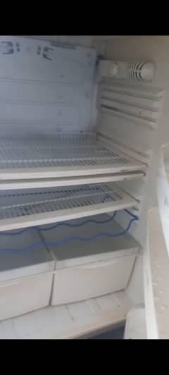 fridge