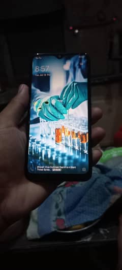 Vivo 1901