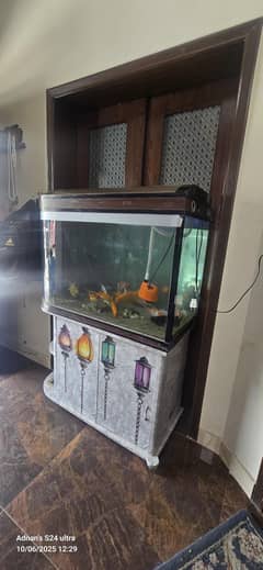 Fish Aquarium with 