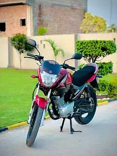 Yamaha YBR 2023 10/10 condition Scratchless
