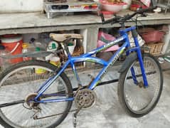 Cross Dolphin River Gear Cycle (Used