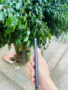 I phone 8 plus