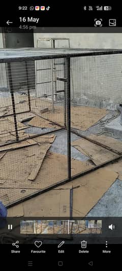 Birds cage