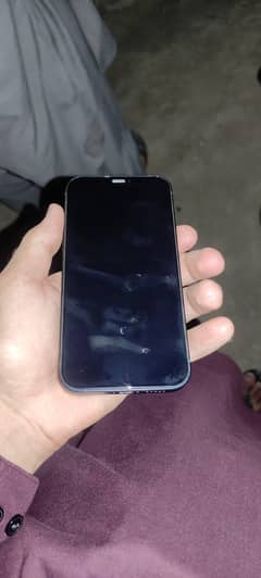 iPhone 12jv