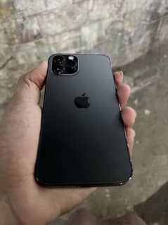 12pro pta