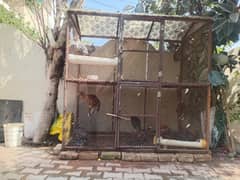 Cage