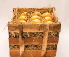 fresh mangos