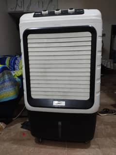 royal air cooler