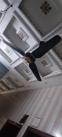 Fan Ceiling 56 inch