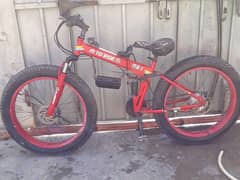 fat tyre cycle