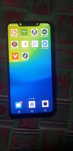 Vivo