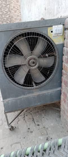 Lahori Coolee Ok Piece 220-Volt