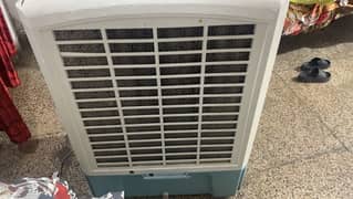 Express cooler