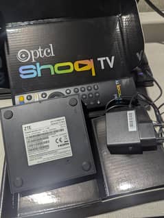 ptcl shoq tv