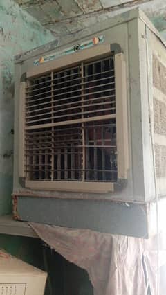 Lahori Cooler