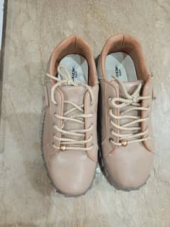 Stylo