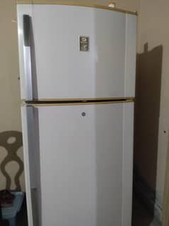 Fridge