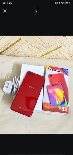 Vivo