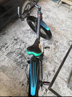Fat Bike