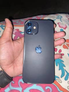 iPhone 12 jv
