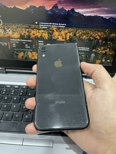 iPhone