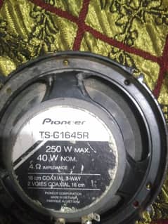 pioneer