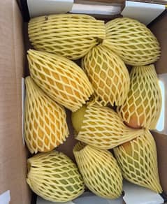 fresh fruits