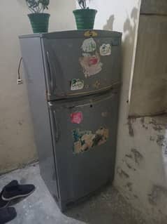 PEL refrigirator