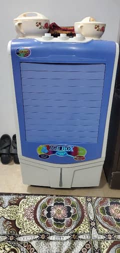 Room Cooler AC/DC