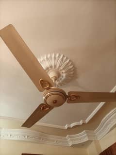 (2) ROYAL CEILING FANS