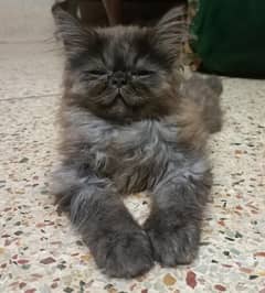 piki