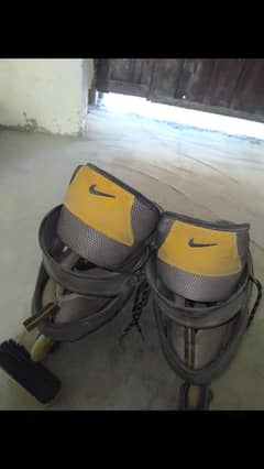 Nike Roller Skates