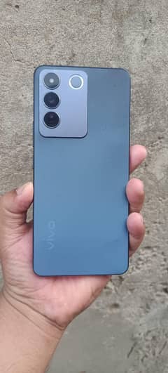 vivo