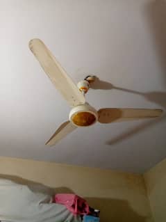 Ac DC fan