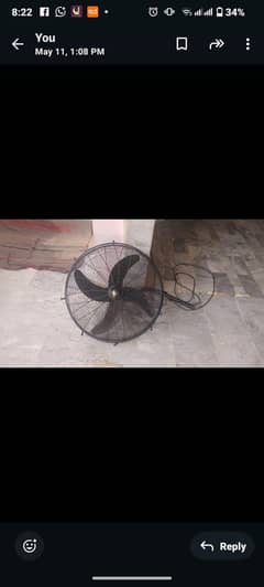 24 inch brekit fane for sell nice gundishan