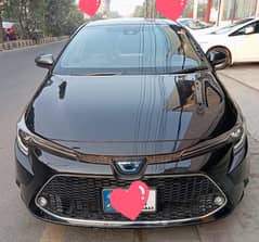 Toyota Corolla WxB Hybrid 2020