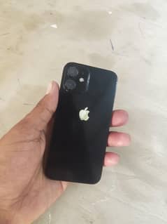 I phone 12 mini