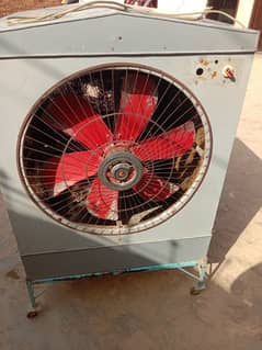 jis ko chaiy rabta kary 03071563504