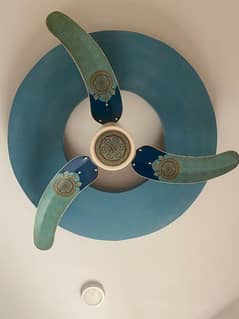 Fancy fan