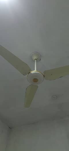 celling fan