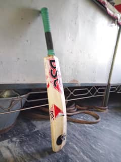 DSC Bat